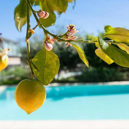 Elis House Piscina Privada Mediterranea * Castelldefels