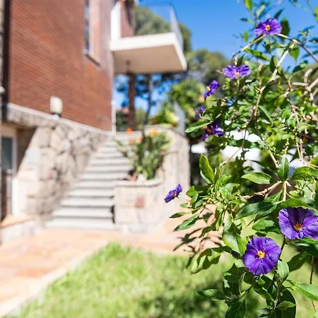 Holiday home Elis House Piscina Privada Mediterranea *
