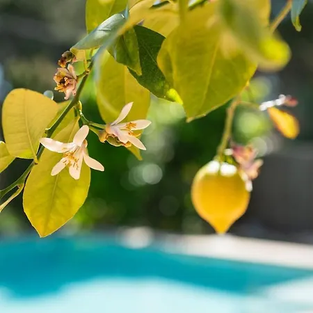 Дом отдыха Elis House Piscina Privada Mediterranea *